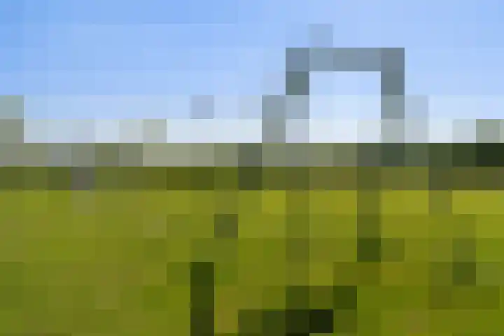 Meidoorn 1 Poortugaal thumbnail 42