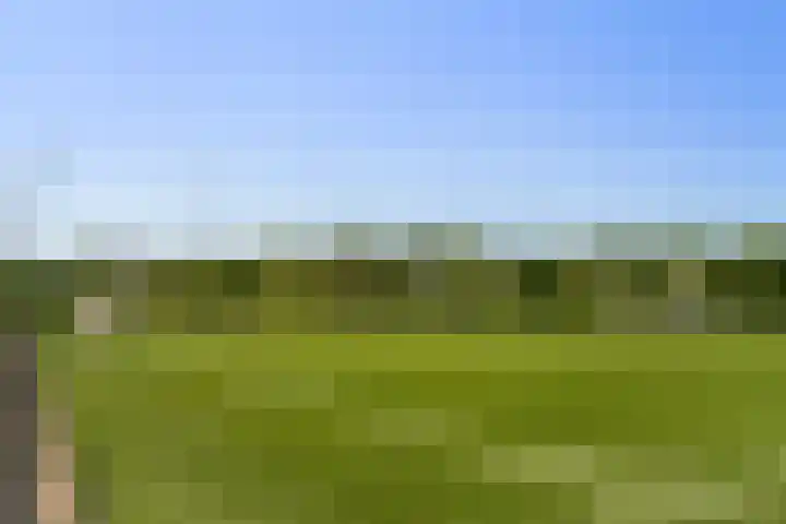 Meidoorn 1 Poortugaal thumbnail 43