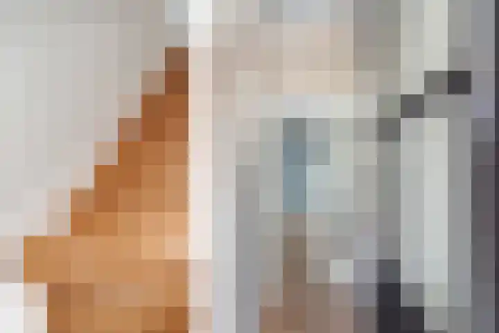 Meidoorn 1 Poortugaal thumbnail 6
