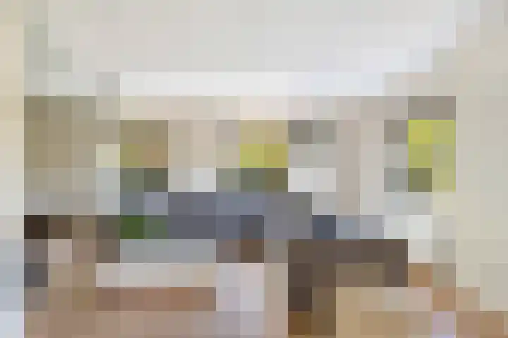 Meidoorn 1 Poortugaal thumbnail 9