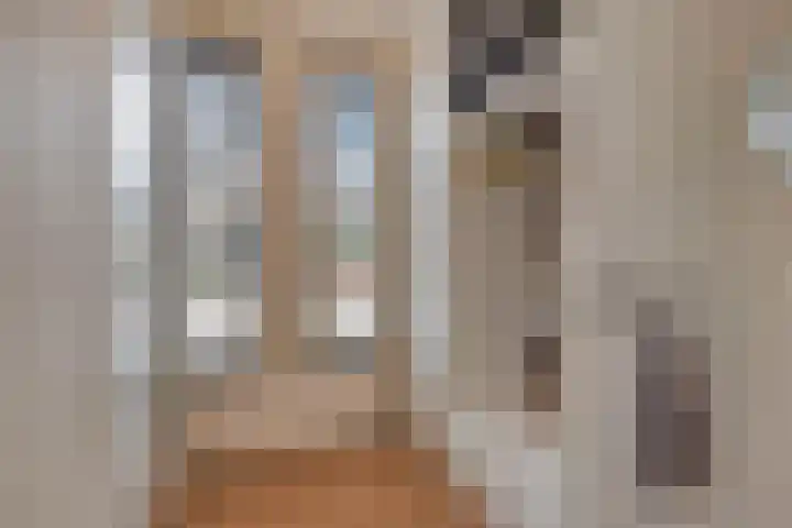 Meidoorn 12 Mierlo thumbnail 10