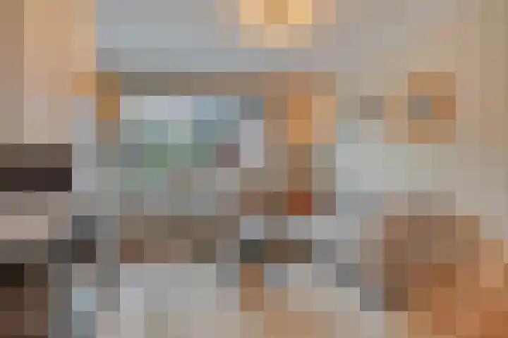 Meidoorn 12 Mierlo thumbnail 11