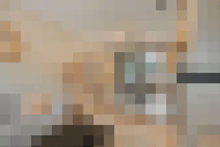 Meidoorn 12 Mierlo thumbnail 14