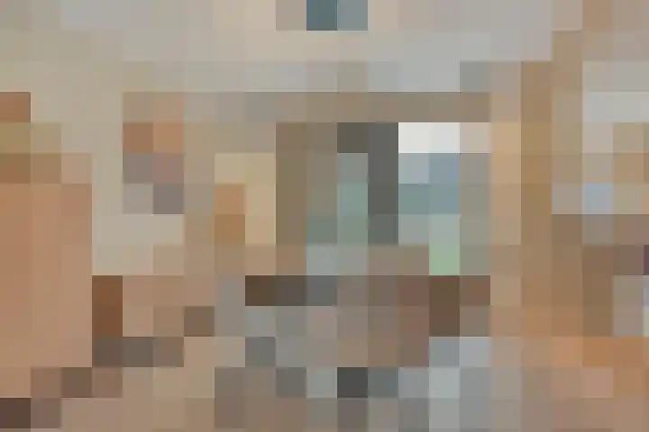Meidoorn 12 Mierlo thumbnail 15