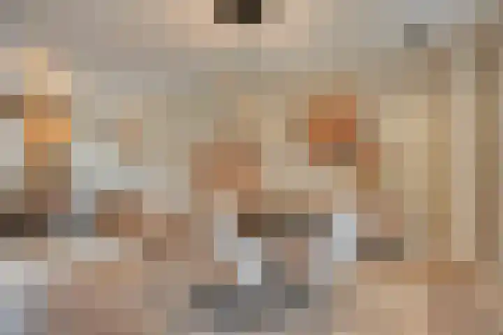 Meidoorn 12 Mierlo thumbnail 16