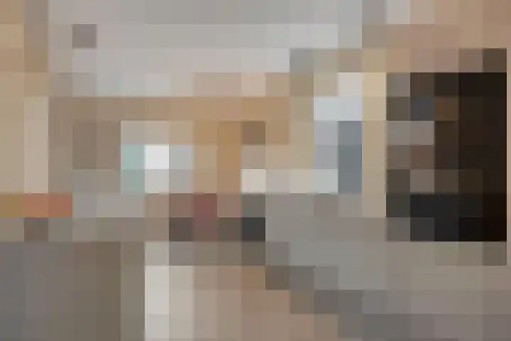 Meidoorn 12 Mierlo thumbnail 17