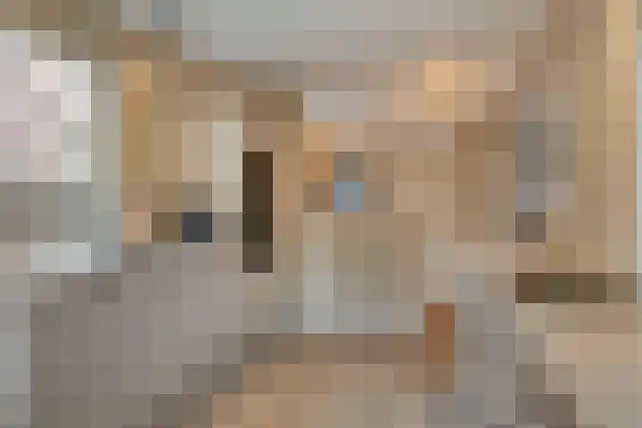 Meidoorn 12 Mierlo thumbnail 18