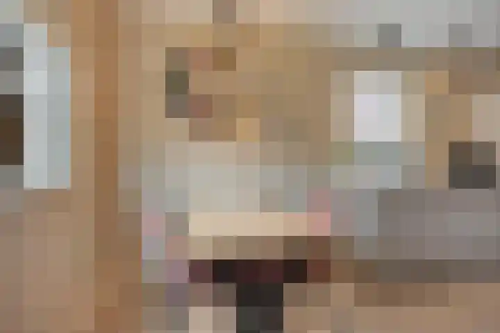 Meidoorn 12 Mierlo thumbnail 19