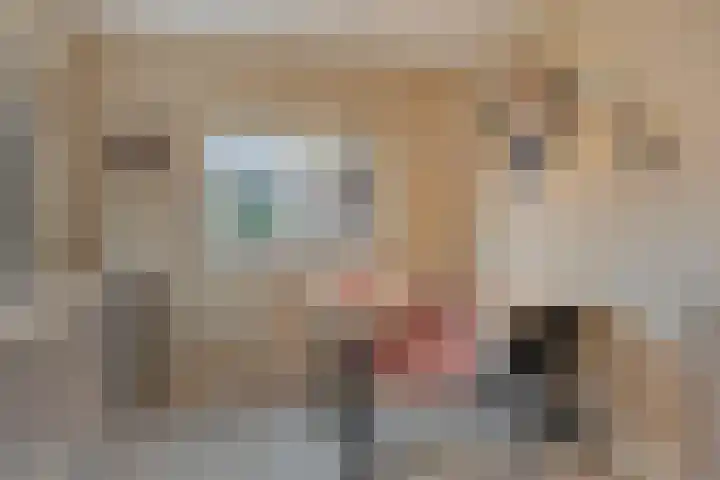 Meidoorn 12 Mierlo thumbnail 20