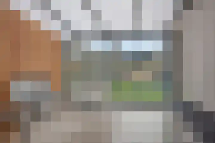 Meidoorn 12 Mierlo thumbnail 22