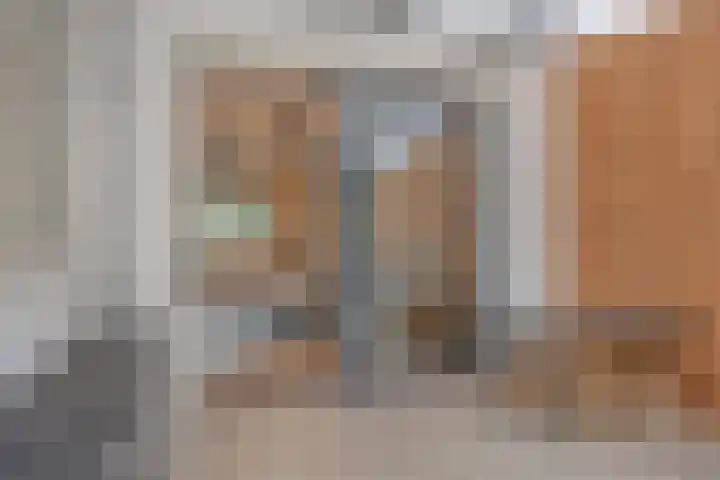 Meidoorn 12 Mierlo thumbnail 23