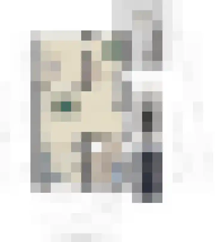 Meidoorn 12 Mierlo thumbnail 25