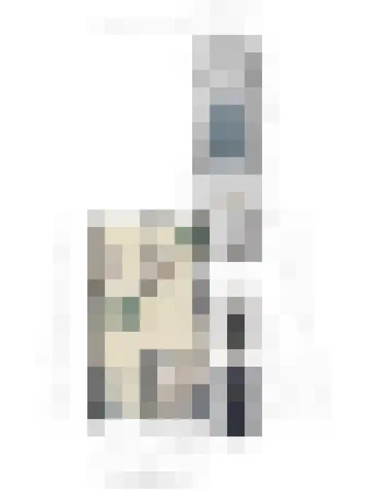 Meidoorn 12 Mierlo thumbnail 26