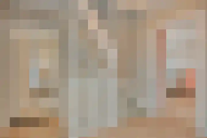 Meidoorn 12 Mierlo thumbnail 27