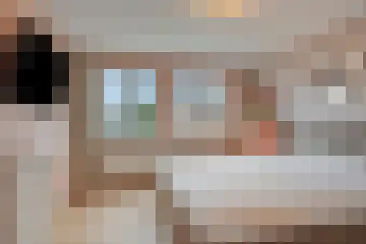 Meidoorn 12 Mierlo thumbnail 30