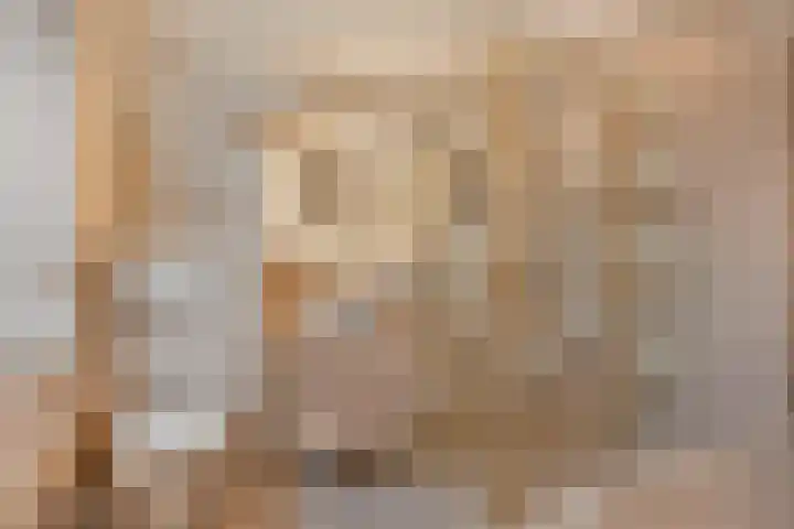 Meidoorn 12 Mierlo thumbnail 32