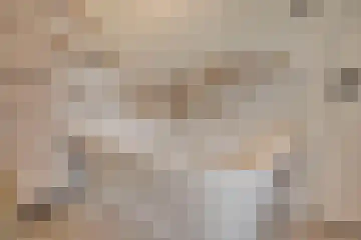 Meidoorn 12 Mierlo thumbnail 33