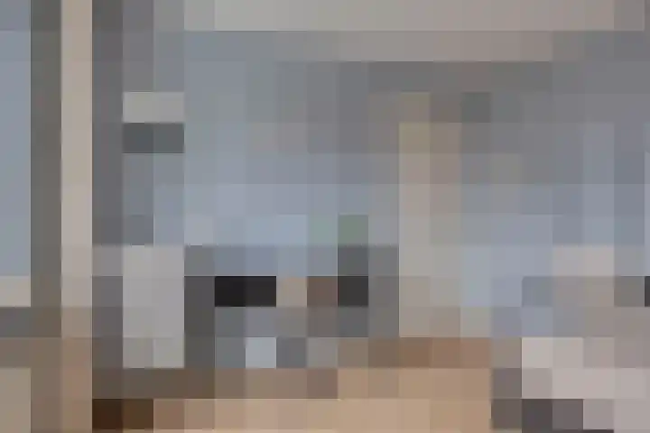 Meidoorn 12 Mierlo thumbnail 35