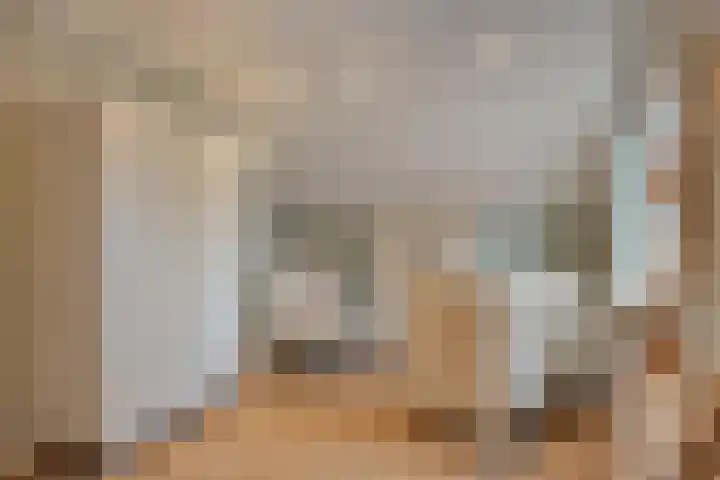 Meidoorn 12 Mierlo thumbnail 36
