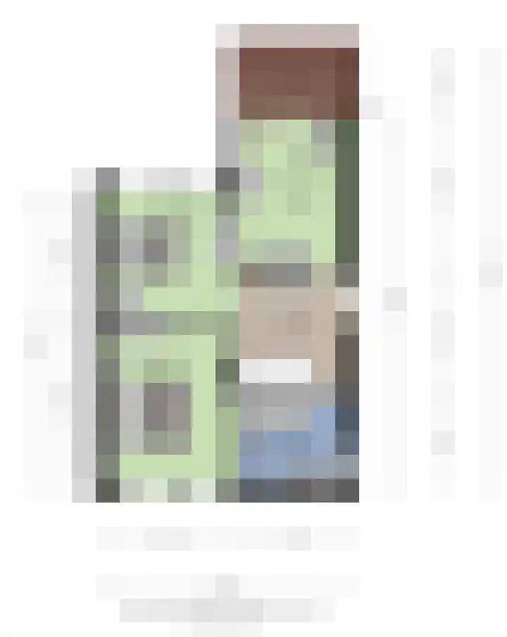 Meidoorn 12 Mierlo thumbnail 38