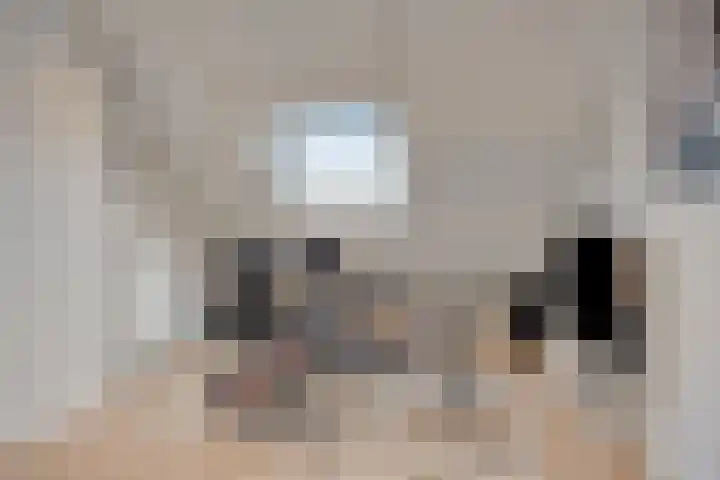 Meidoorn 12 Mierlo thumbnail 41