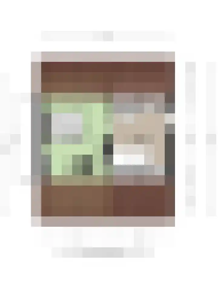 Meidoorn 12 Mierlo thumbnail 43