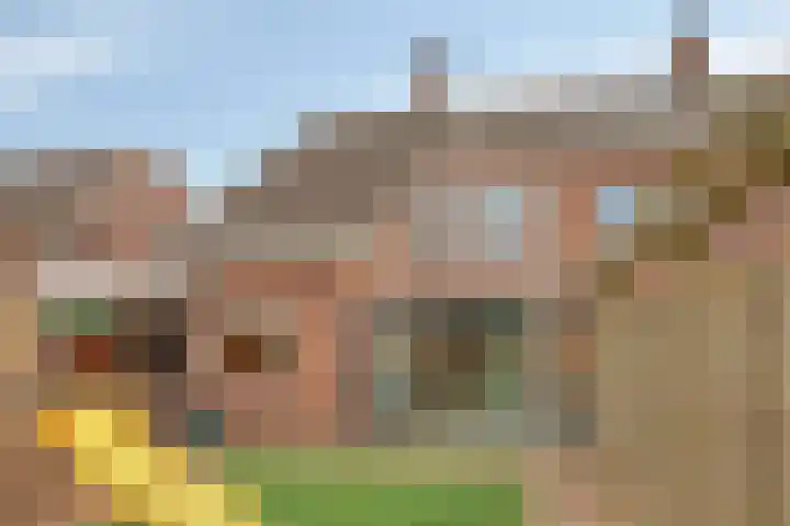 Meidoorn 12 Mierlo thumbnail 44