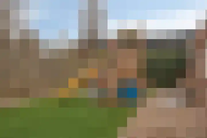 Meidoorn 12 Mierlo thumbnail 45