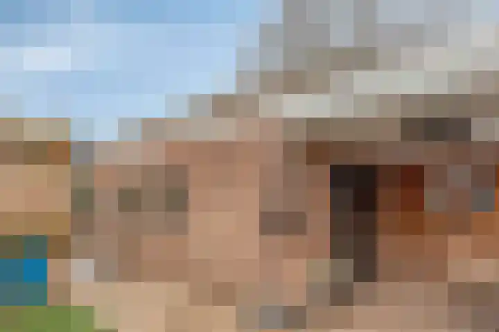 Meidoorn 12 Mierlo thumbnail 46