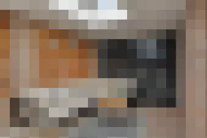 Meidoorn 12 Mierlo thumbnail 49
