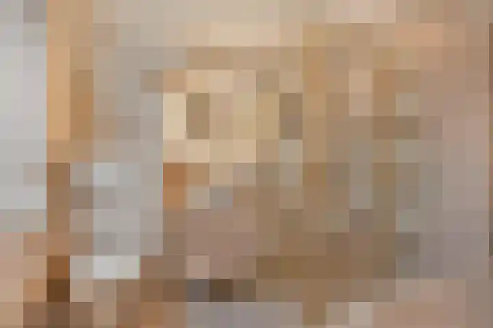 Meidoorn 12 Mierlo thumbnail 5