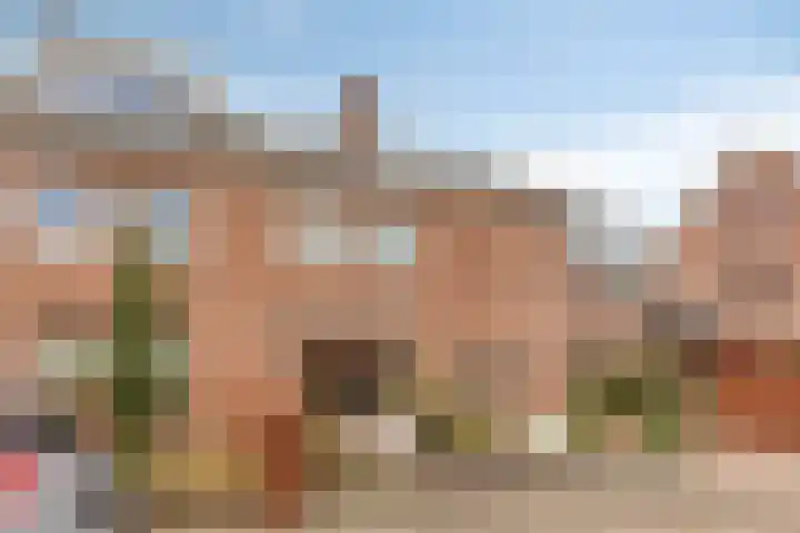 Meidoorn 12 Mierlo thumbnail 50