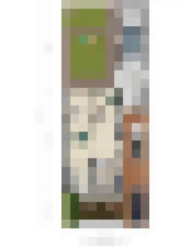 Meidoorn 12 Mierlo thumbnail 51