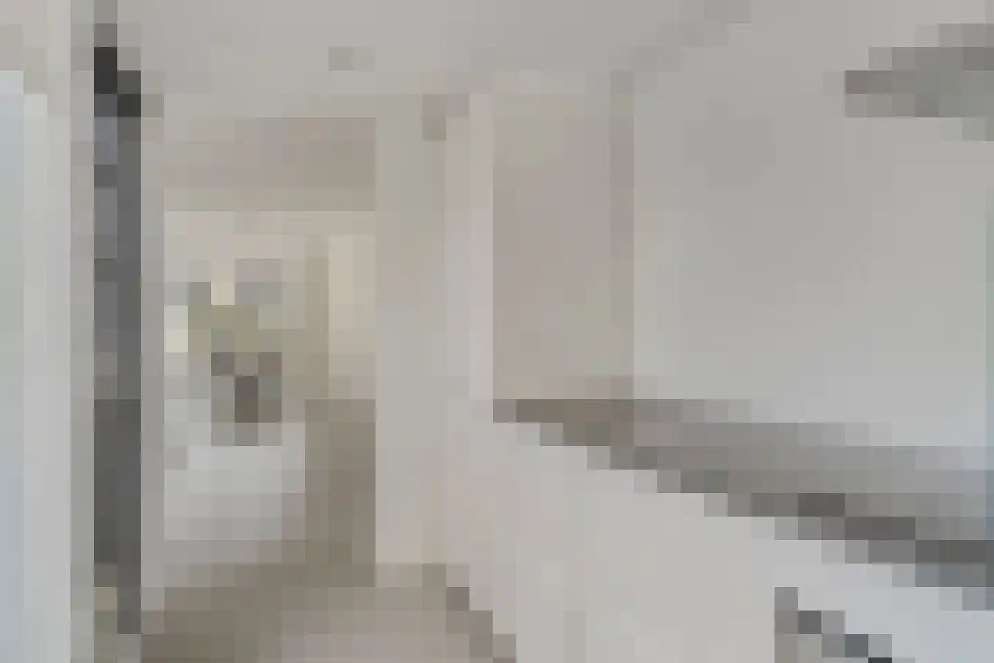 Meidoorn 12 Poortugaal thumbnail 12