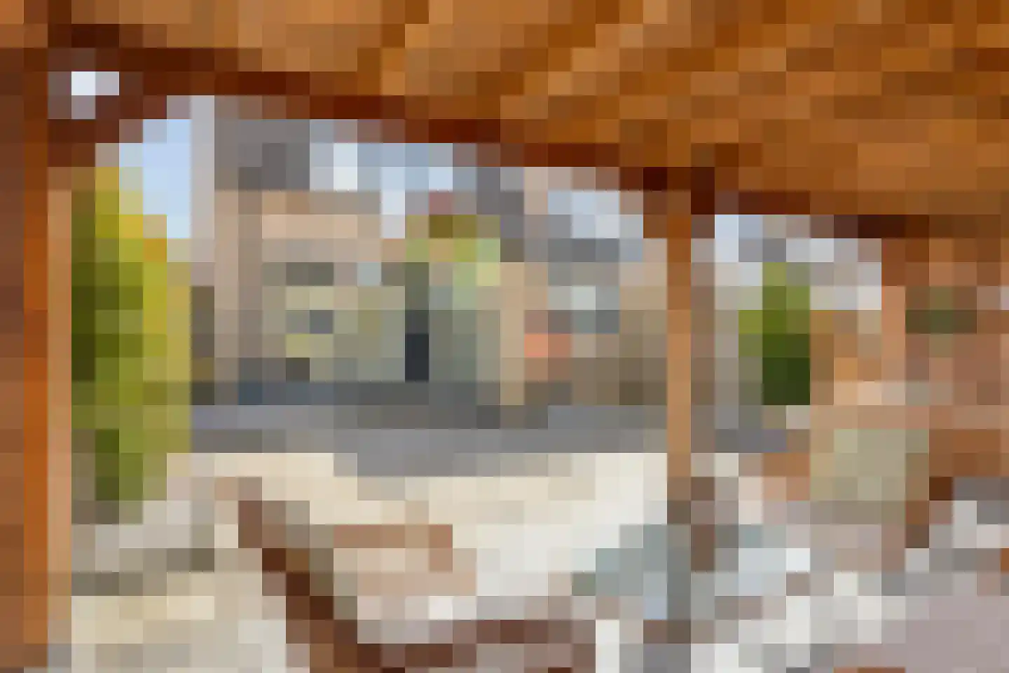 Meidoorn 12 Poortugaal thumbnail 31