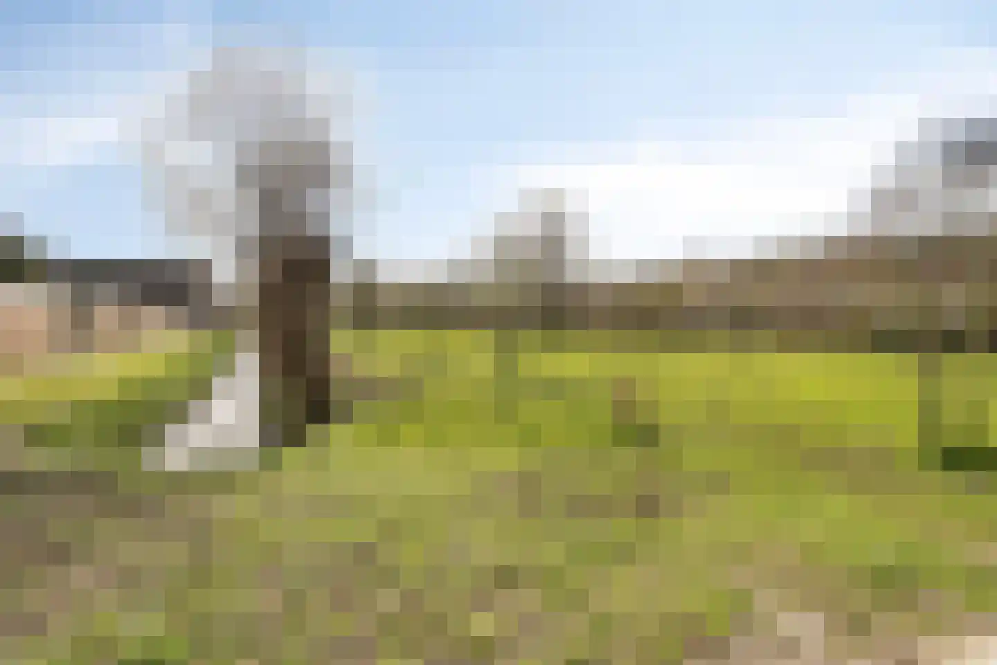 Meidoorn 12 Poortugaal thumbnail 36