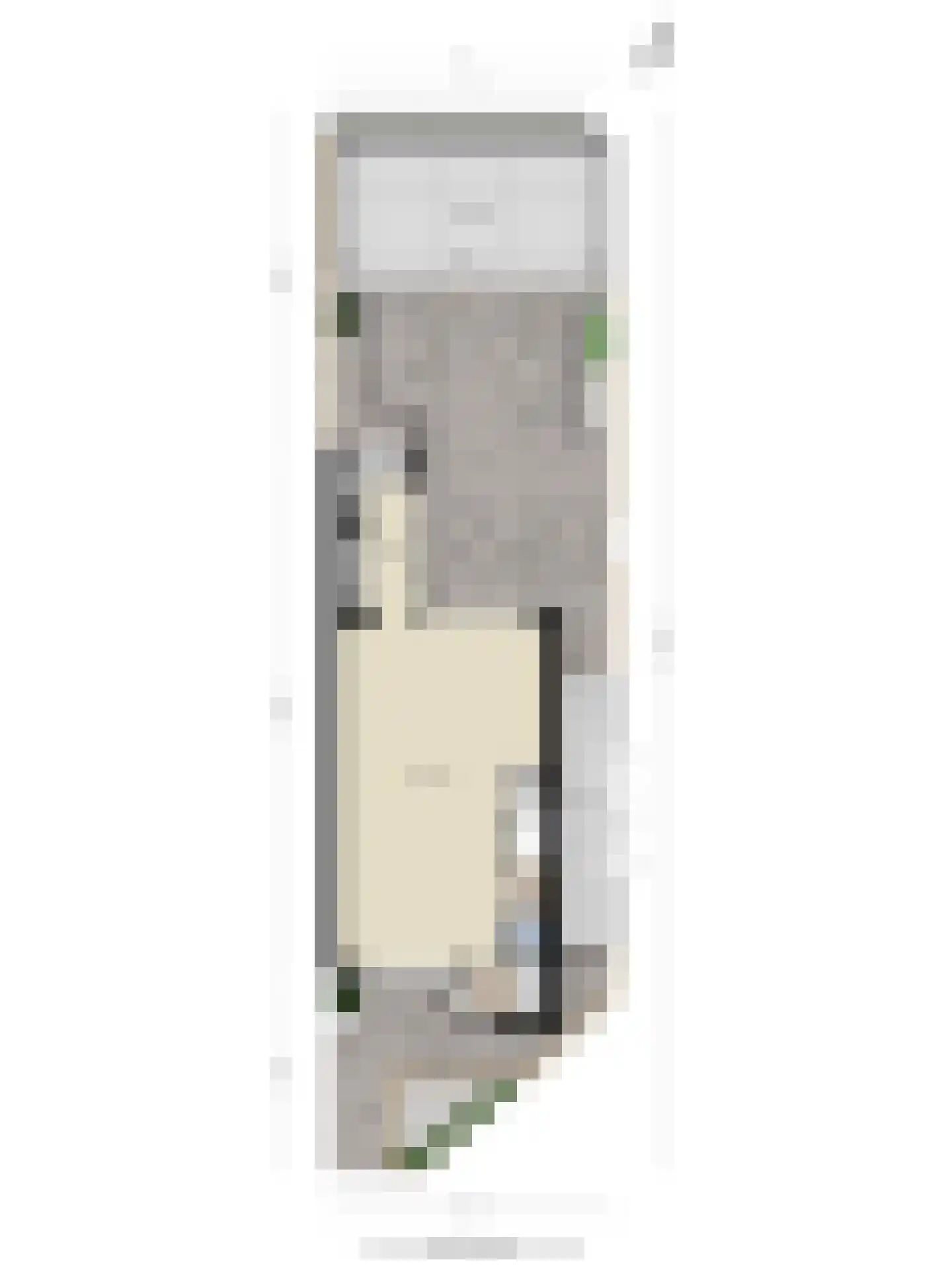 Meidoorn 12 Poortugaal thumbnail 37