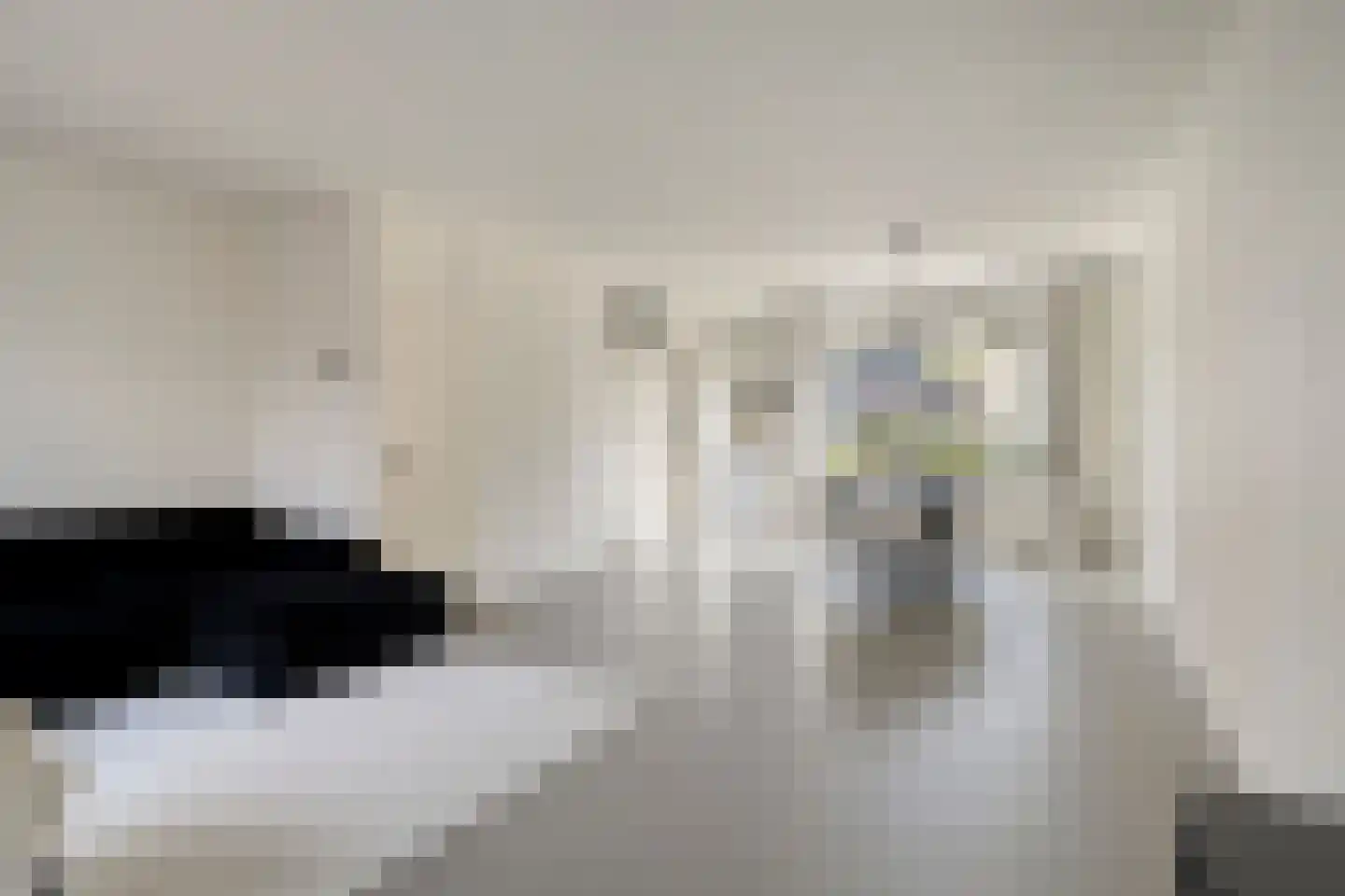 Meidoorn 12 Poortugaal thumbnail 8