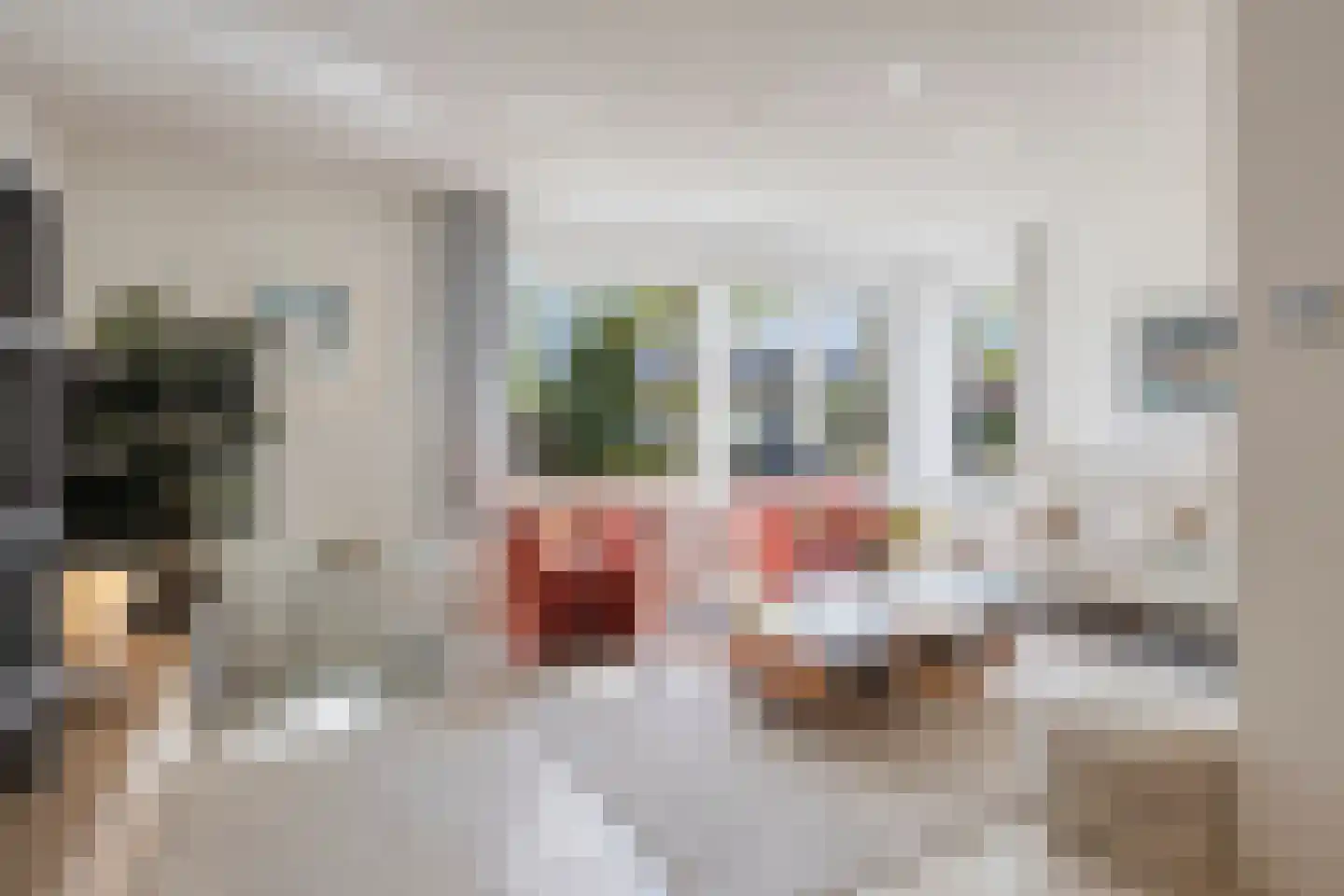 Meidoorn 123 A Maastricht thumbnail 8