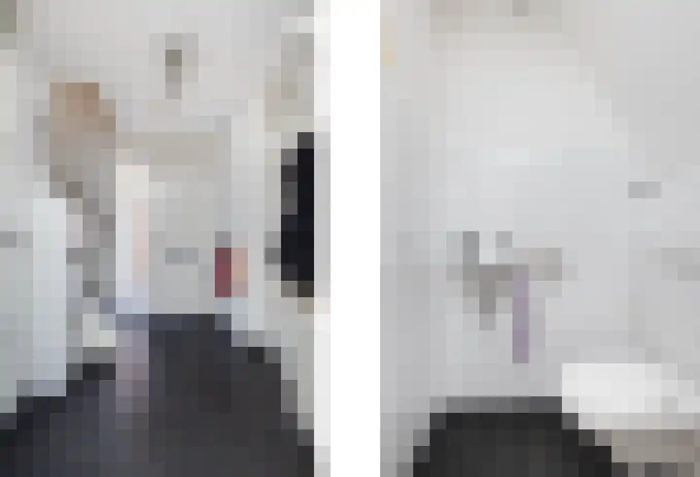 Meidoorn 14 Elsloo thumbnail 14