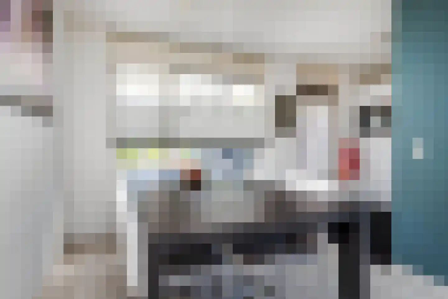 Meidoorn 14 Elsloo thumbnail 20