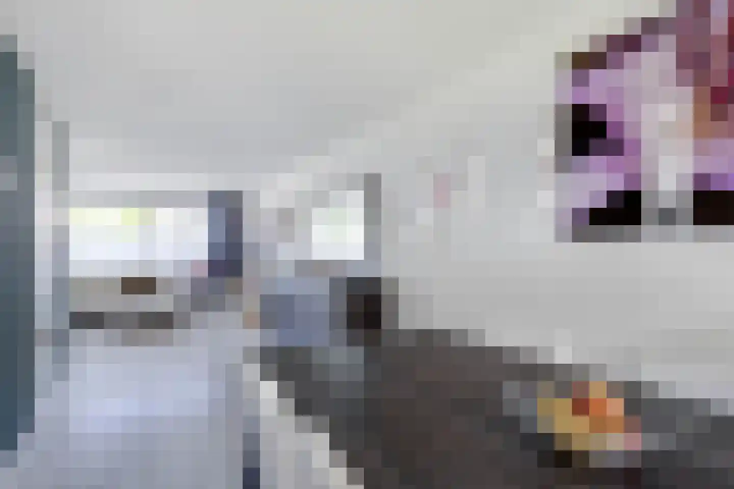 Meidoorn 14 Elsloo thumbnail 25