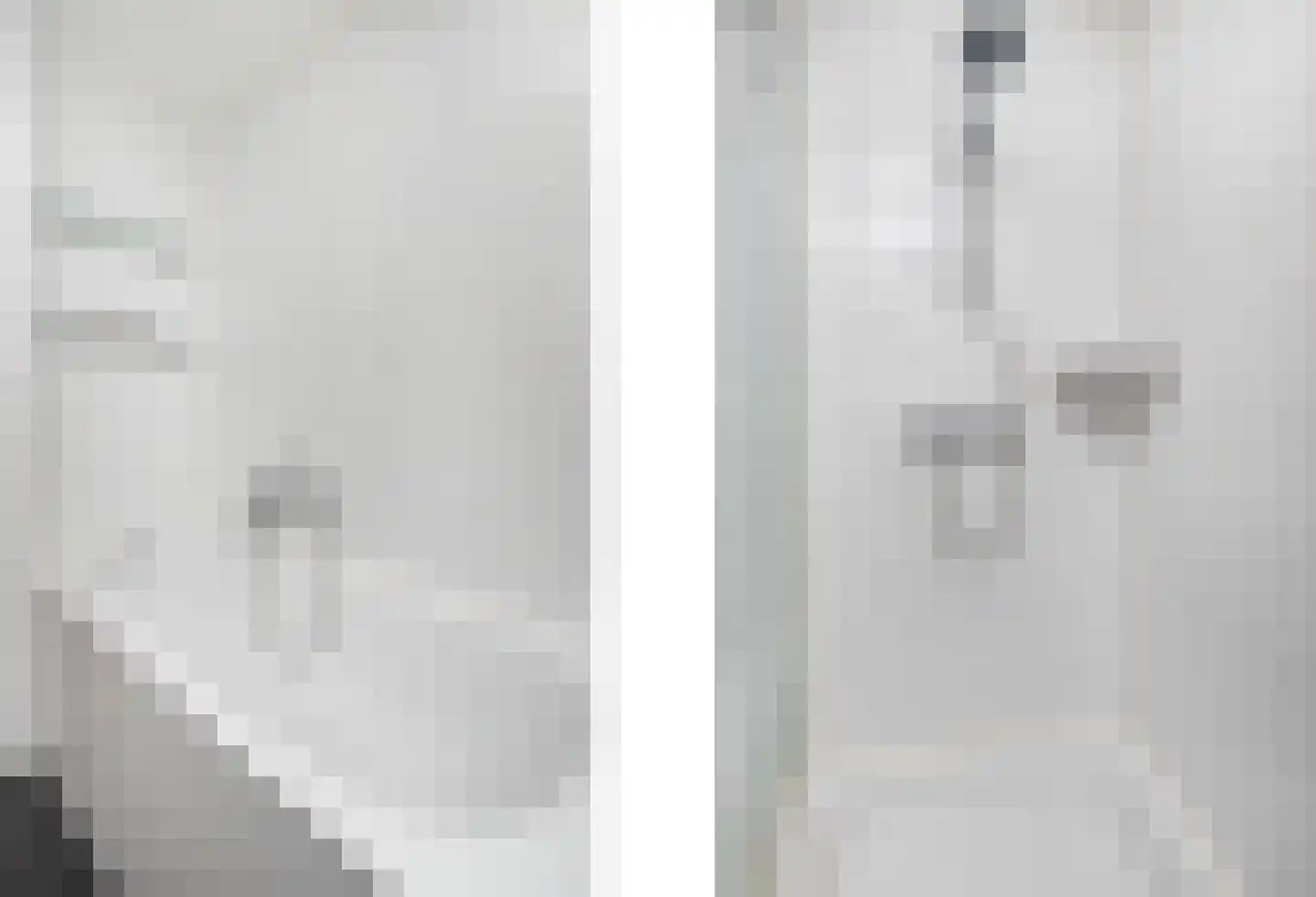 Meidoorn 14 Elsloo thumbnail 31
