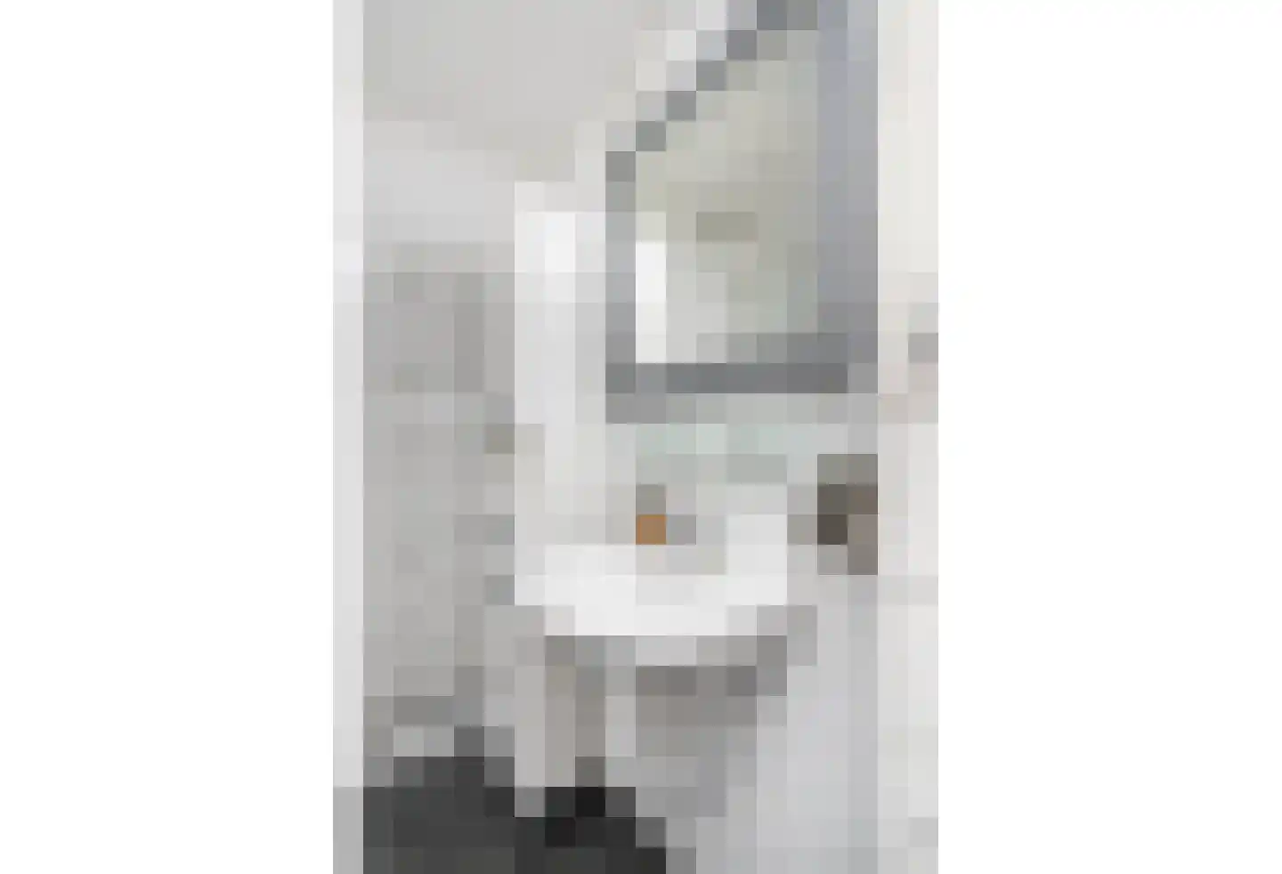 Meidoorn 14 Elsloo thumbnail 32
