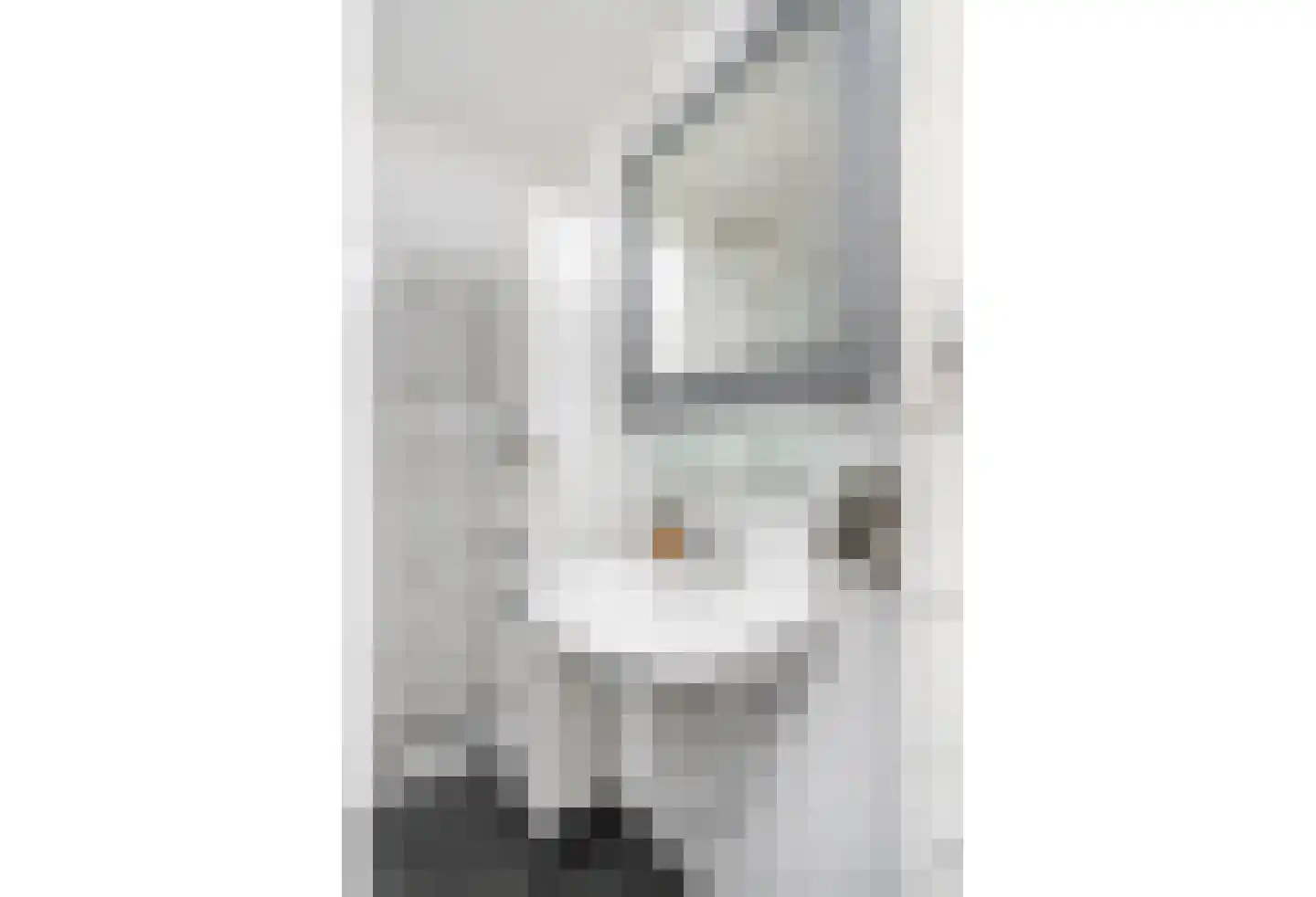 Meidoorn 14 Elsloo thumbnail 33