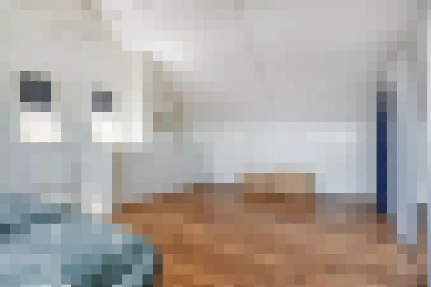 Meidoorn 14 Elsloo thumbnail 39
