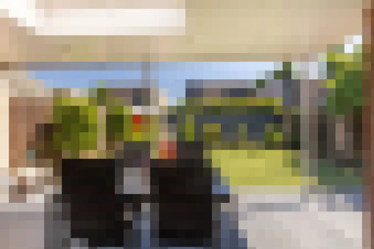 Meidoorn 14 Elsloo thumbnail 4