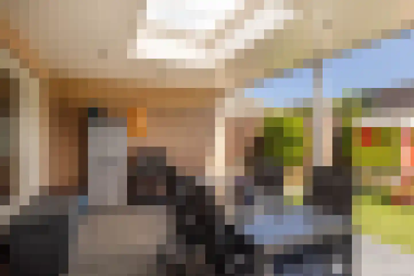 Meidoorn 14 Elsloo thumbnail 43
