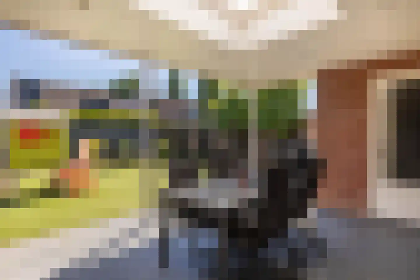 Meidoorn 14 Elsloo thumbnail 44
