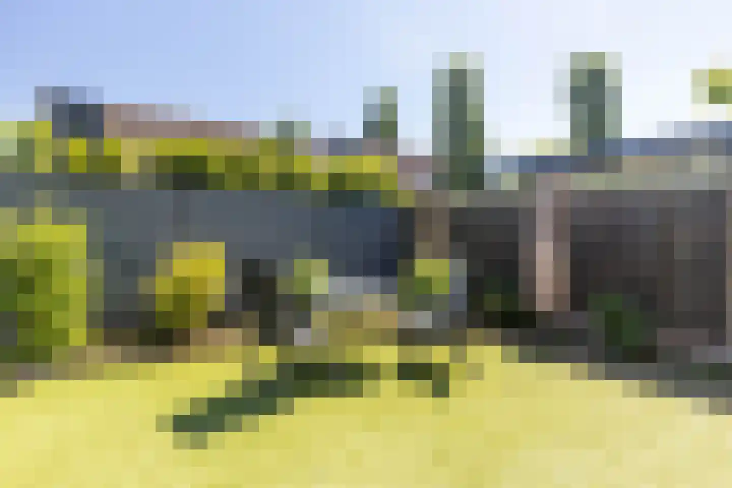 Meidoorn 14 Elsloo thumbnail 46